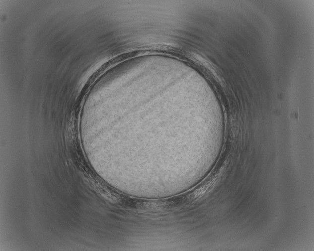 X0000074210875200609151553