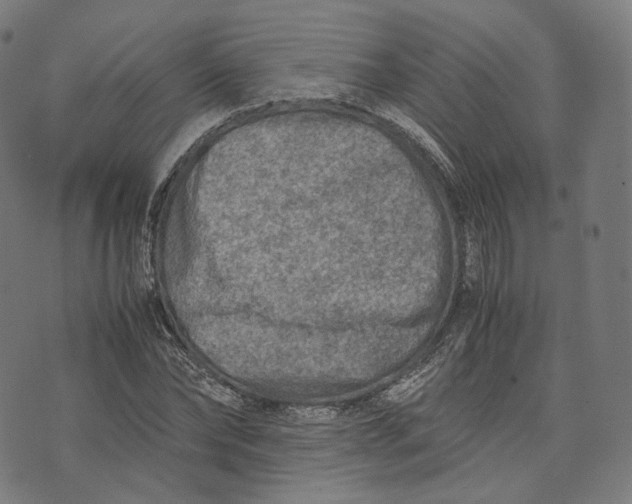 X0000074210878200609151553