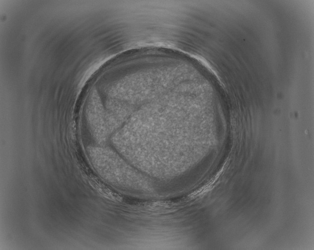 X0000074210879200609151553