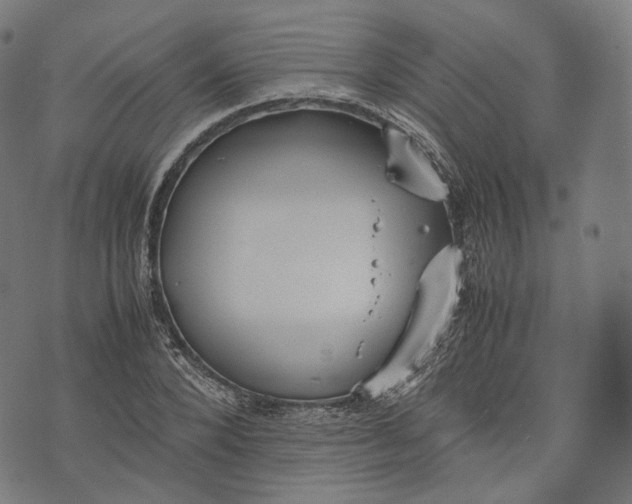 X0000074210880200609151553