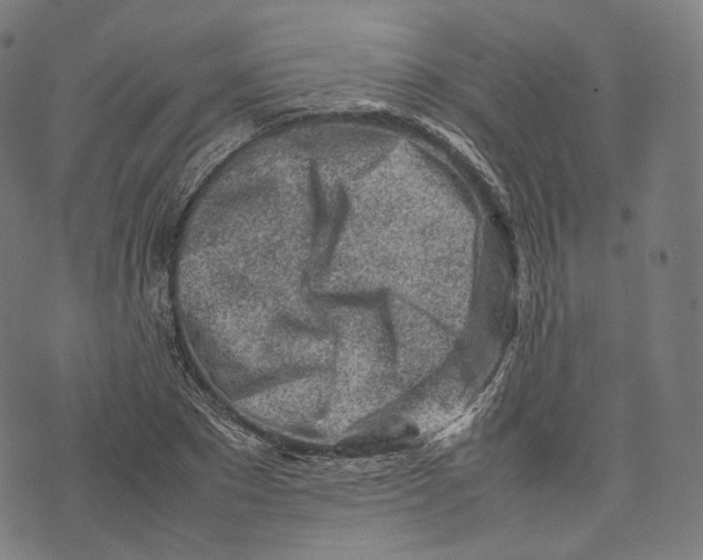 X0000074210881200609151553