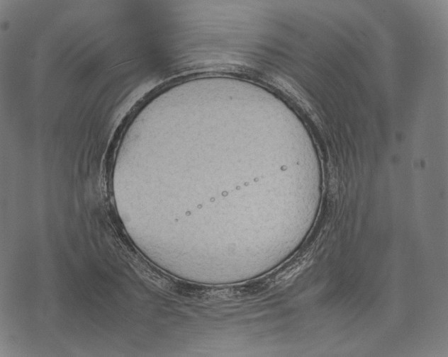 X0000074210883200609151553