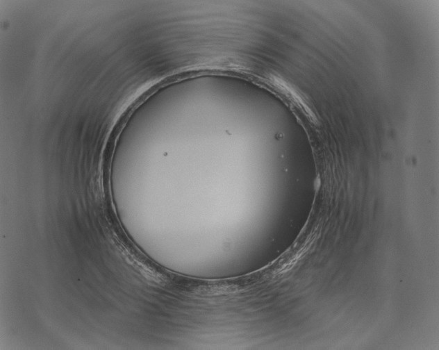 X0000074210884200609151553