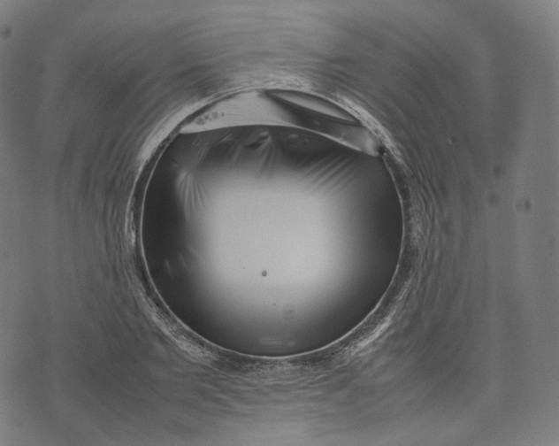 X0000074210885200609151553