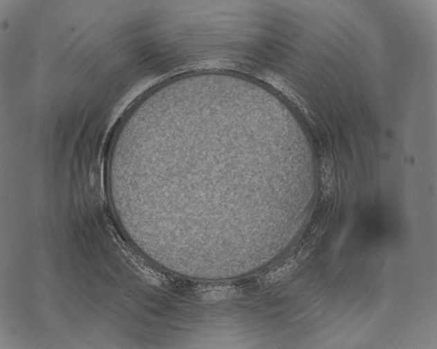 X0000074210886200609151553