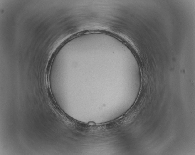 X0000074210887200609151553