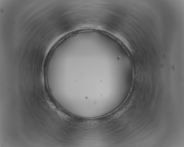 X0000074210888200609151553