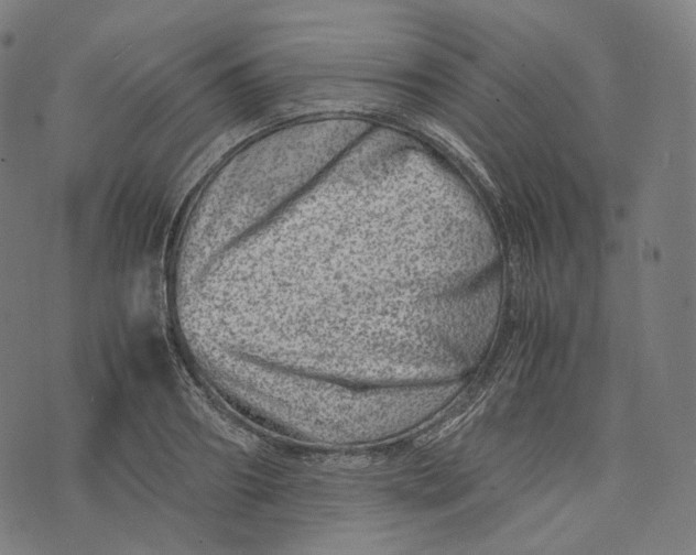 X0000074210890200609151553