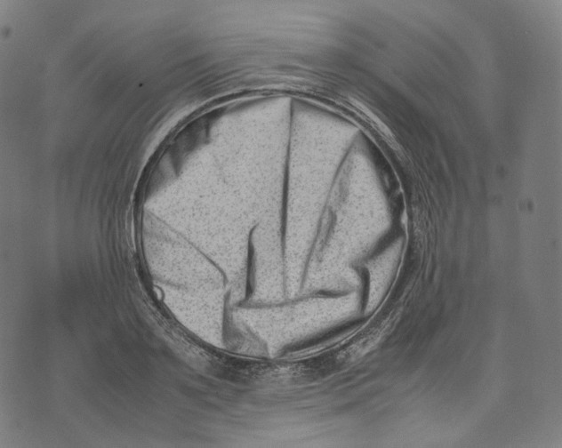 X0000074210891200609151553