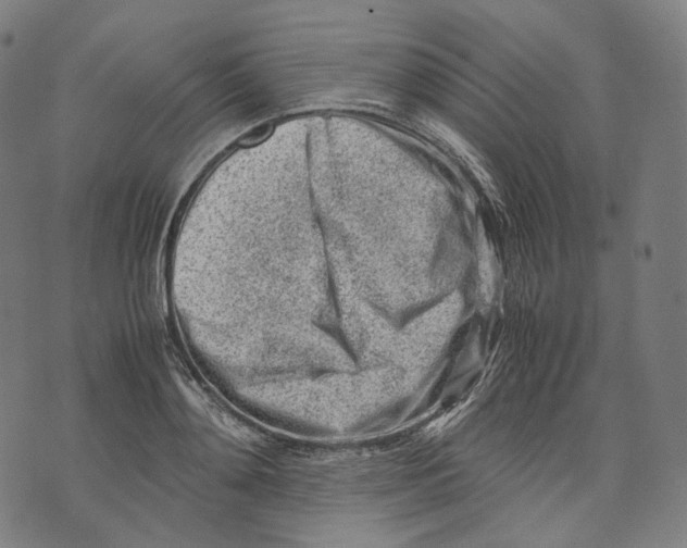 X0000074210892200609151553