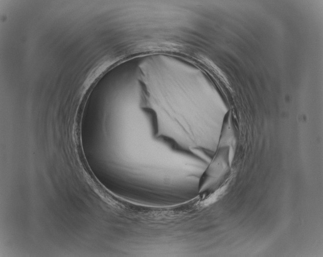 X0000074210893200609151553