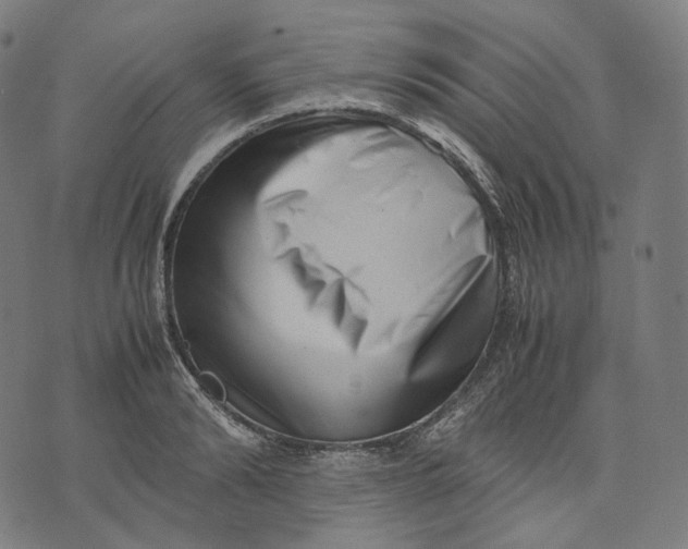 X0000074210894200609151553