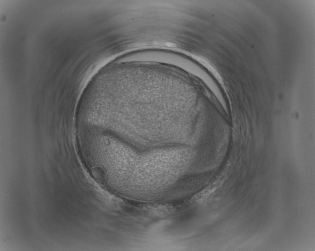 X0000074210895200609151553