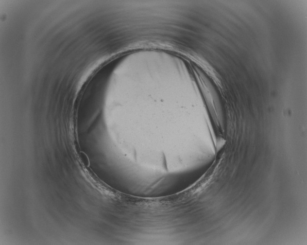 X0000074210896200609151553