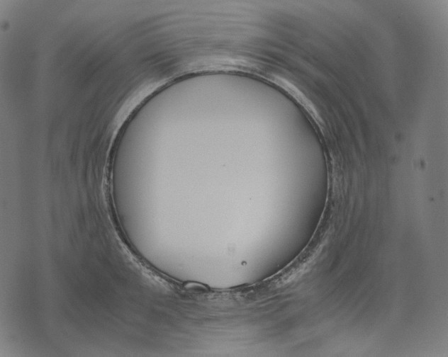 X0000074210901200609151553