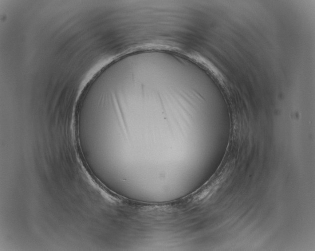 X0000074210902200609151553