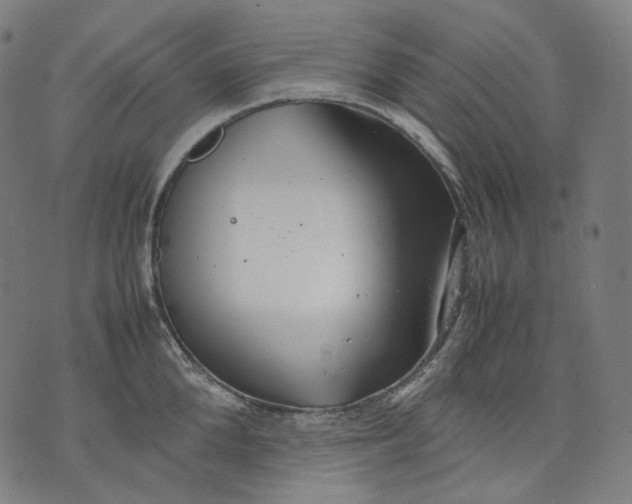 X0000074210904200609151553