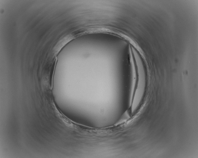 X0000074210905200609151553