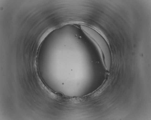 X0000074210906200609151553