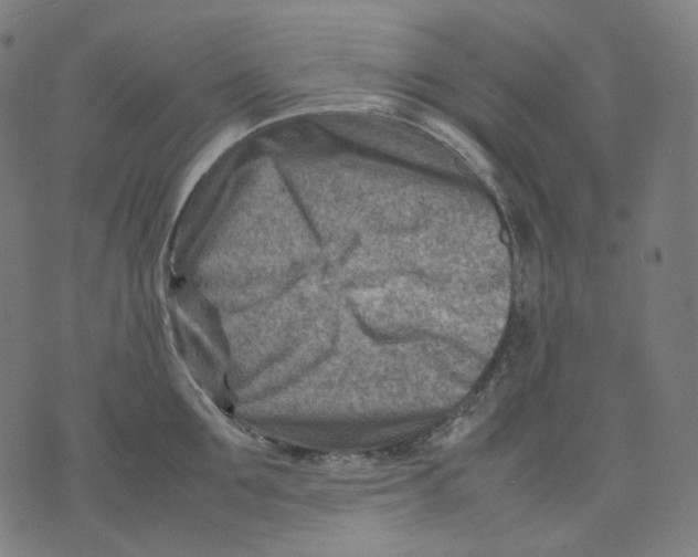 X0000074210907200609151553