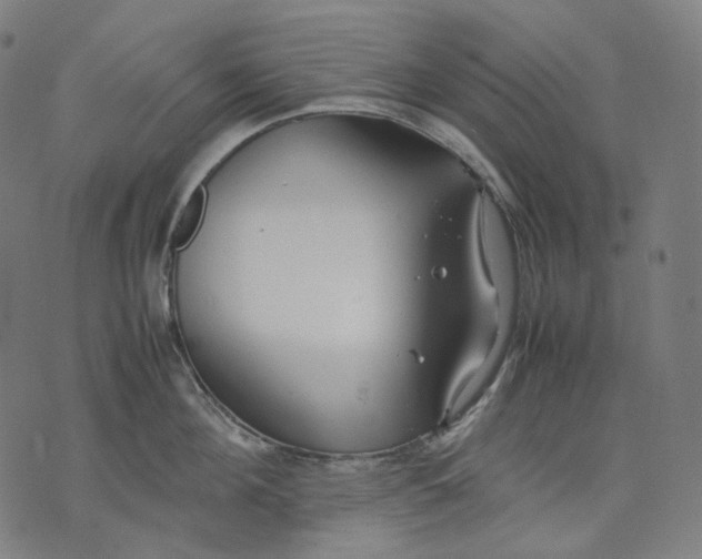 X0000074210908200609151553