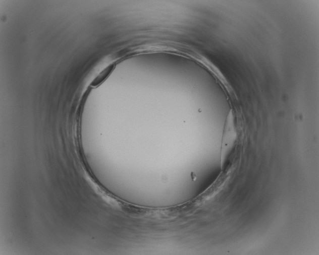 X0000074210909200609151553