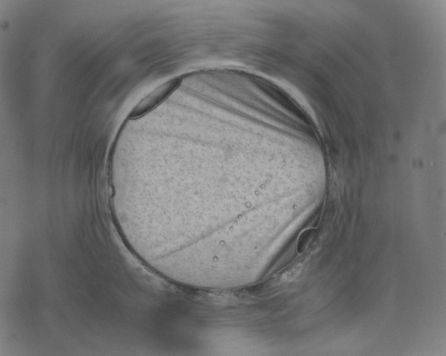 X0000074210911200609151553