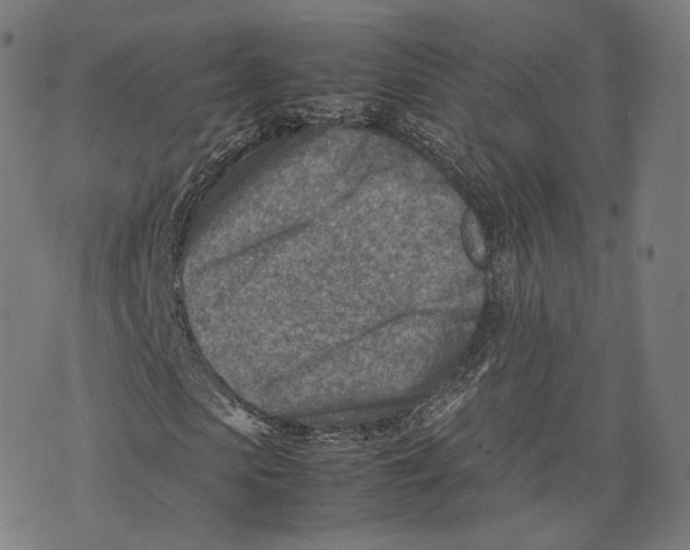 X0000074210913200609151552