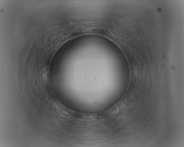 X0000074210914200609151552