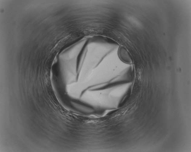 X0000074210915200609151552