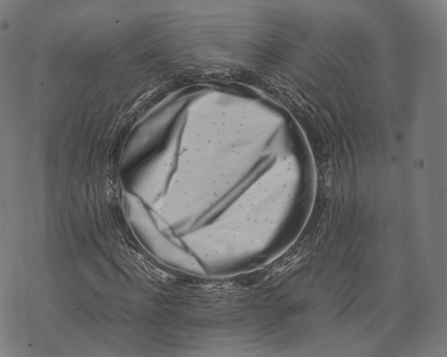 X0000074210916200609151552