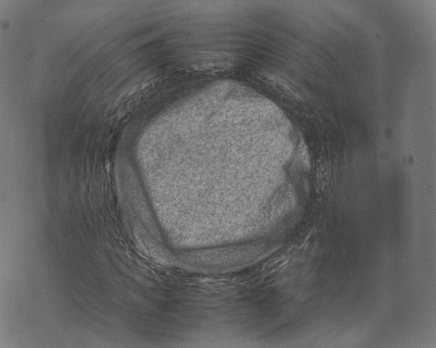 X0000074210917200609151552