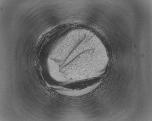 X0000074210920200609151552