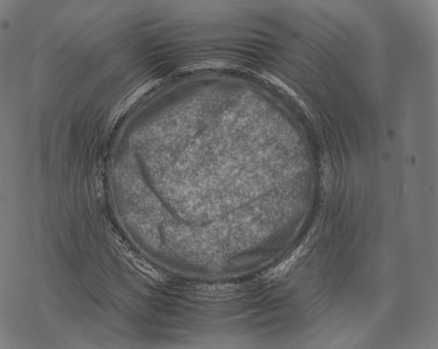 X0000074210921200609151552