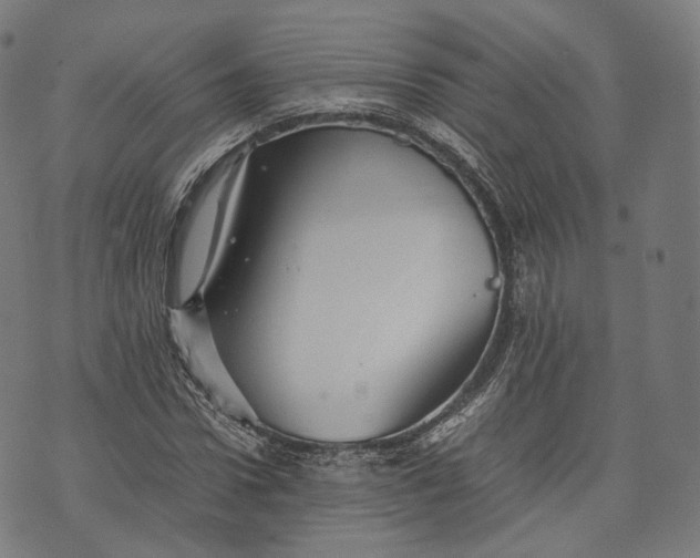 X0000074210922200609151552