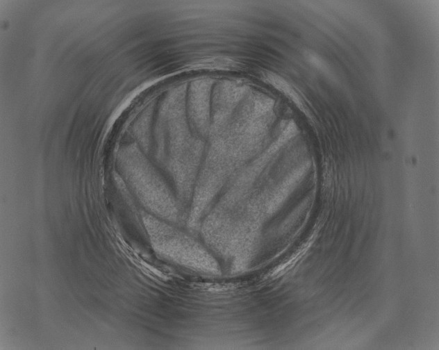 X0000074210923200609151552