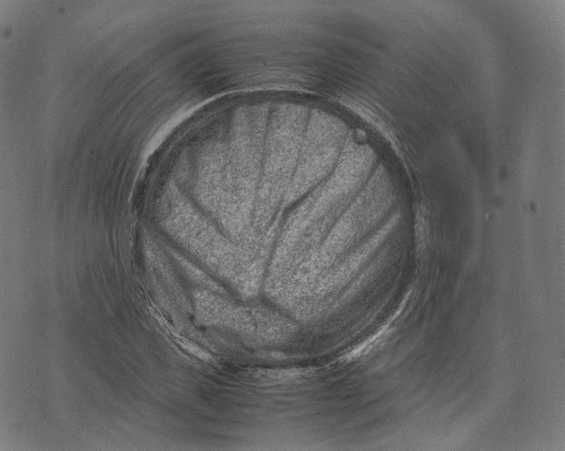 X0000074210925200609151552