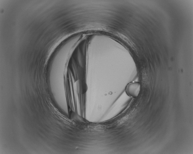 X0000074210926200609151552