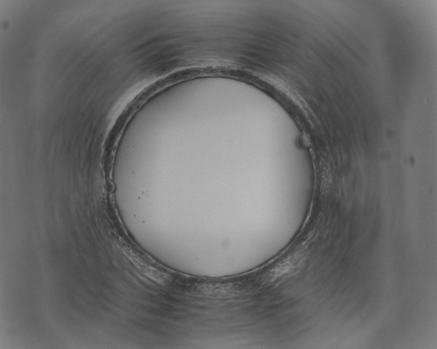 X0000074210927200609151552