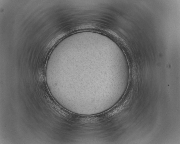 X0000074210929200609151552