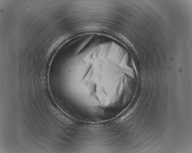 X0000074210930200609151552