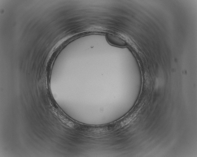 X0000074210931200609151552