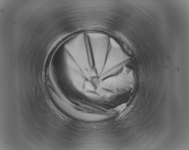 X0000074210932200609151552