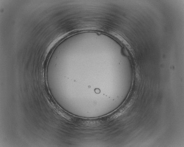 X0000074210933200609151552