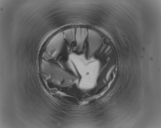 X0000074210935200609151552