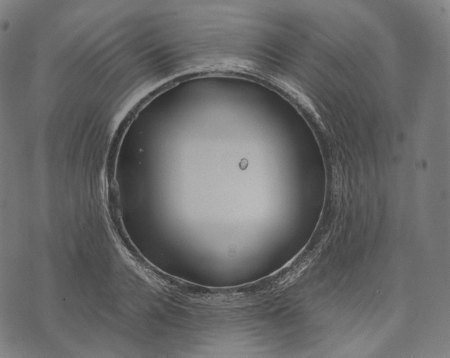 X0000074210936200609151552