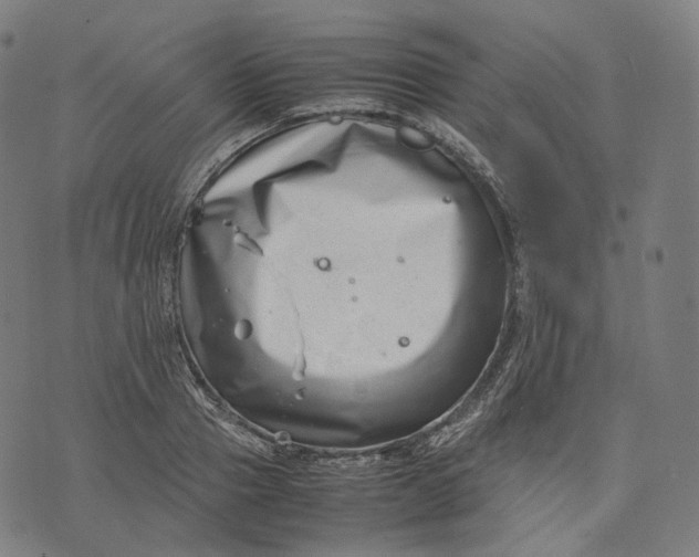 X0000074210937200609151552