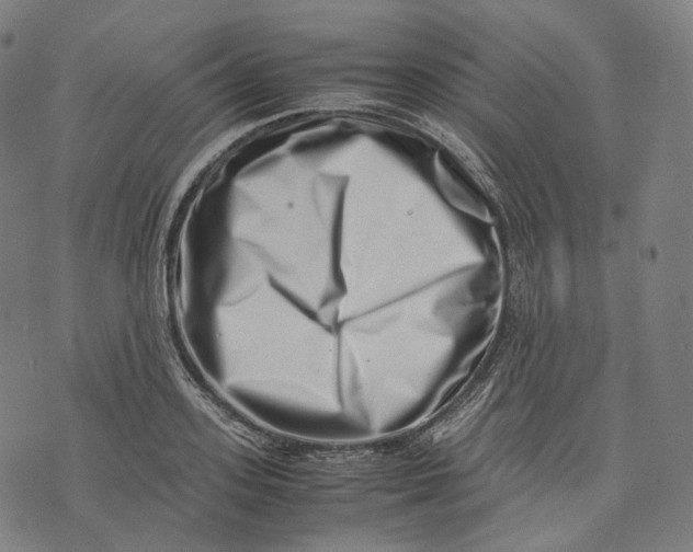 X0000074210939200609151552