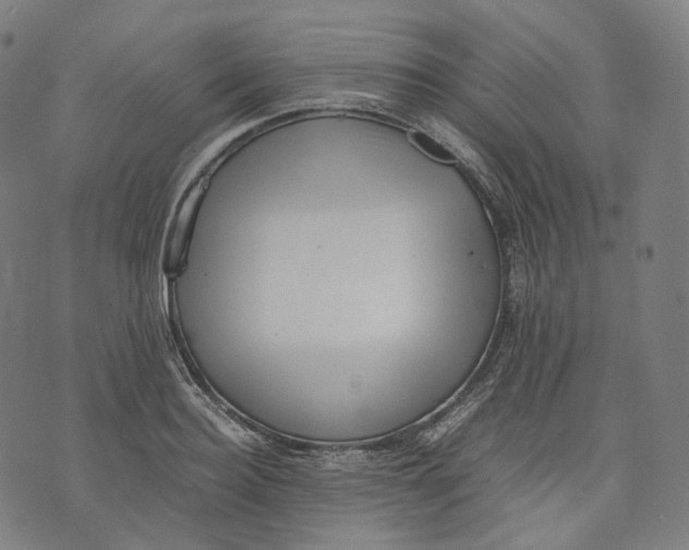 X0000074210940200609151553