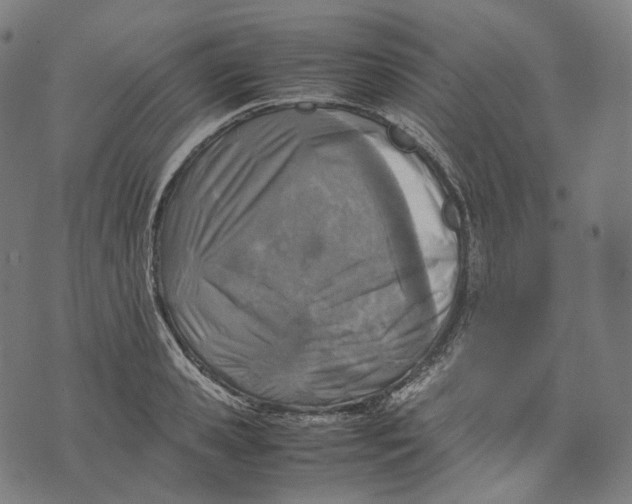 X0000074210941200609151553